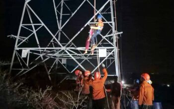 Percobaan Bunuh Diri Perempuan 16 Tahun di Atas Tower PLN Silae Digagalkan Basarnas