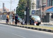 Kembalikan Keasrian Kota, DLH Palu Bongkar Media Tanaman yang Kering