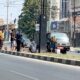 Kembalikan Keasrian Kota, DLH Palu Bongkar Media Tanaman yang Kering